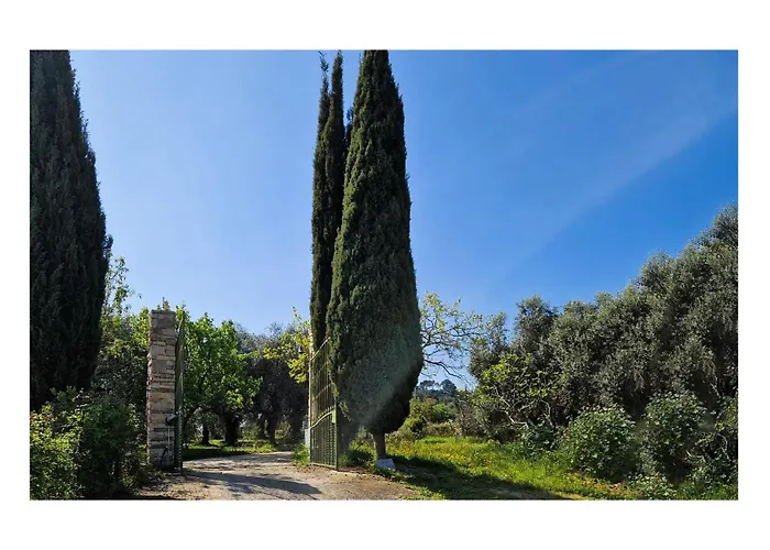Gorgeous In Tatil Evi